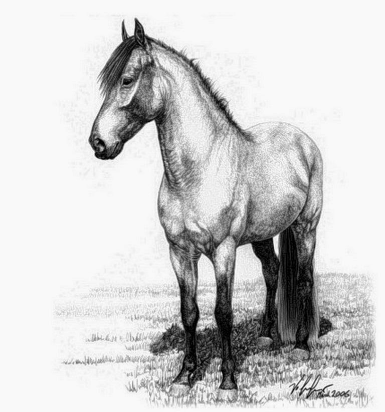 caballos-en-pintura-realista-a-carboncillo