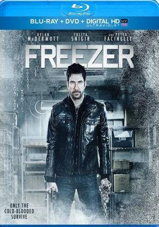 Freezer 2014 BluRay Hindi 250MB Dual Audio 480p