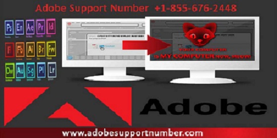 Adobe Support Number Work Uninterruptedly With Adobe Support Helpdesk Adobe Support Number Work Uninterruptedly With Adobe Support Helpdesk