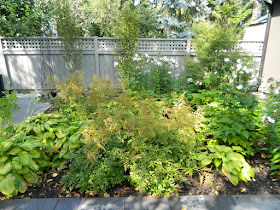 Paul Jung Gardening Services Danforth backyard by garden muses-not another Toronto gardening blog