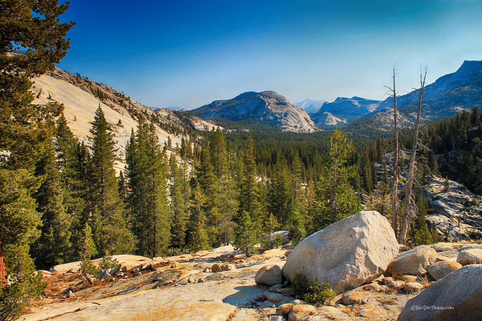 Yosemite's Tioga Pass Road
