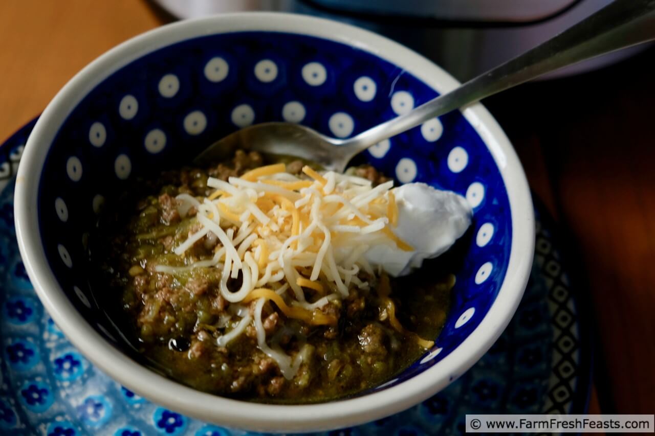 Farm Fresh Feasts Green Tomato Garlic Chili in the Instant Pot® or Slow Cooker