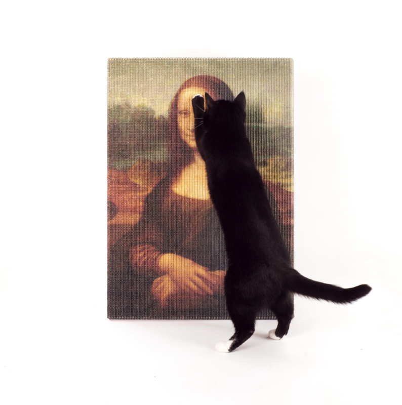 クール 爪 とぎ ポケモン 100 で最高の画像