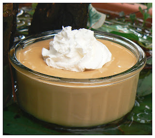 recettes Dulche de leche à la vanille