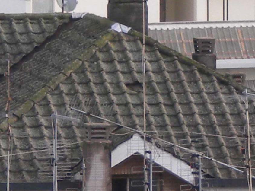 Vendesi Appartamento O Villa Camaldoli Vendesi Appartamento O Villa Camaldoli