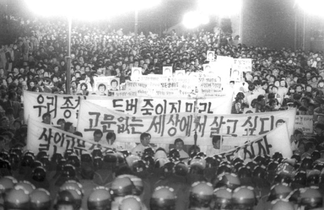 The 6.10 Democracy Movement (6.10 민주항쟁) | Koreabridge