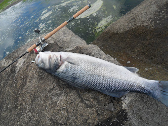 ROBALÃO 7 KG