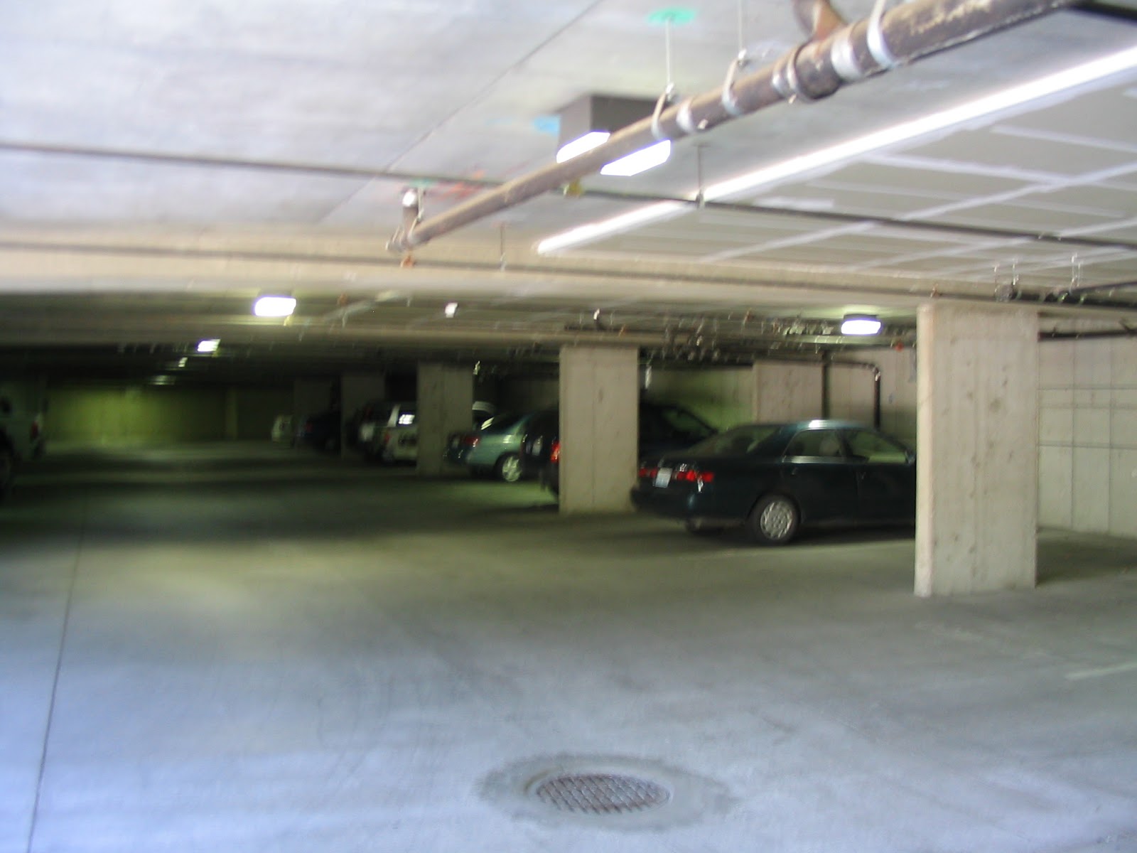 College Courtyard Apartments We Have Both Garage And Street