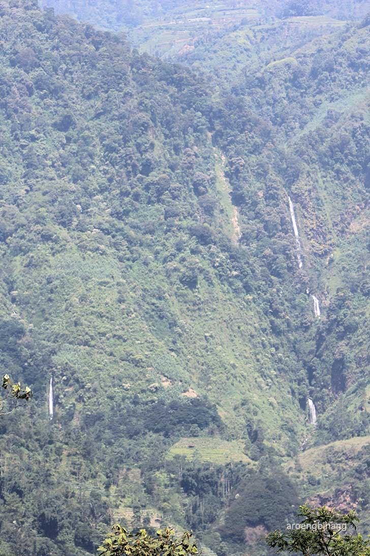 curug bajing petungkriyono pekalongan