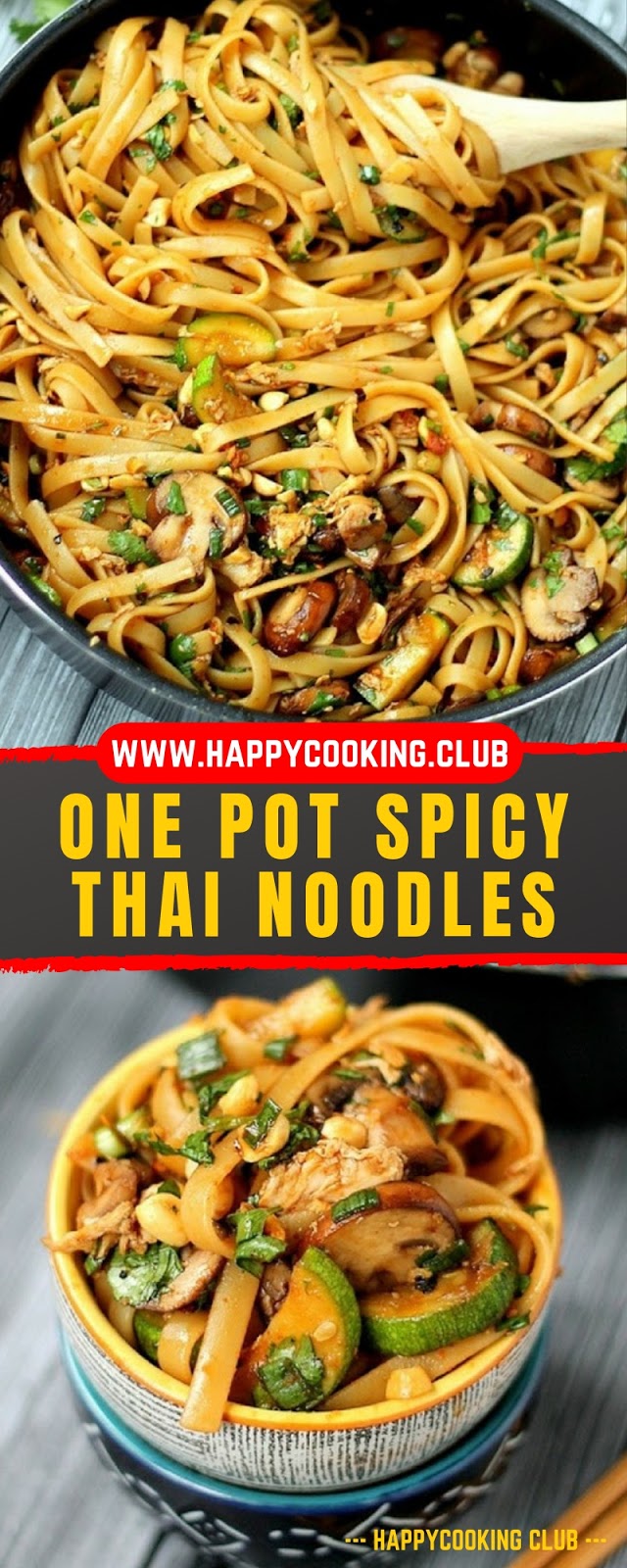 ONE POT SPICY THAI NOODLES ONE POT SPICY THAI NOODLES