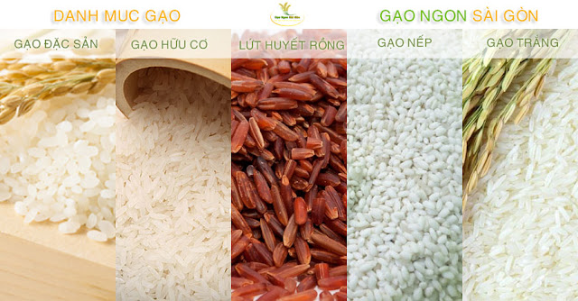 Xem bảng giá gạo cập nhật của Gạo Ngon Sài Gòn gạo lứt gạo trắng gạo đặc sản gạo hữu cơ