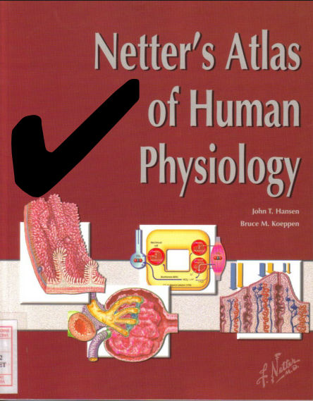 atlas of anatomy pdf free
