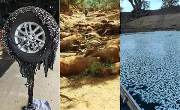 FOTOS: AUSTRALIA SE DERRITE POR OLA DE CALOR. FOTOS: AUSTRALIA SE DERRITE POR OLA DE CALOR.