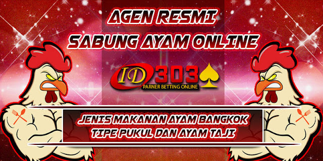 JENIS MAKANAN AYAM BANGKOK TIPE PUKUL DAN AYAM TAJI ayambangkok asli, ciri sisik pukul mati, adu ayam birma, download video sabung bangkok, bangkok super jalu, jalu super jahat, bentuk jalu mematikan, video jago tarung lengkap, video sabung bangkok, tarung bangkok pukul mati, bangkok super purwokerto, video tarung bebas sampai mati, adu jago birma, adu jago bangkok super, ayamlaga pukul mati 2014, mantra adu jago, bangkok aduan super, tarung jago birma, birma super jalu, blorok madu pukul mati, adu jago sampai mati, adu jago bangkok pukul mati, video adu jago, pakhoy ori, jalu renteng 3, cara meruncingkan jalu, pakoy top the best, adu ayam filipina, video ayam bertarung sampai mati, bangkok super cup 2015, adu ayam 2016, adu ayam bangkok super jalu, adu ayam betet, adu ayam bangkok di thailand, adu ayam bangkok terbaru, adu ayam bangkok youtube, adu ayam jago sampai mati, adu ayam laga, adu ayam sabung, adu ayam siam, adu ayam bangkok pukul ko, adu ayam sadis, adu ayam 5, adu ayam bali indonesia, adu ayam bangkok asli thailand, adu ayam bangkok ko, adu ayam bangkok muda, adu ayam bangkok terbaru 2015, adu ayam jawa