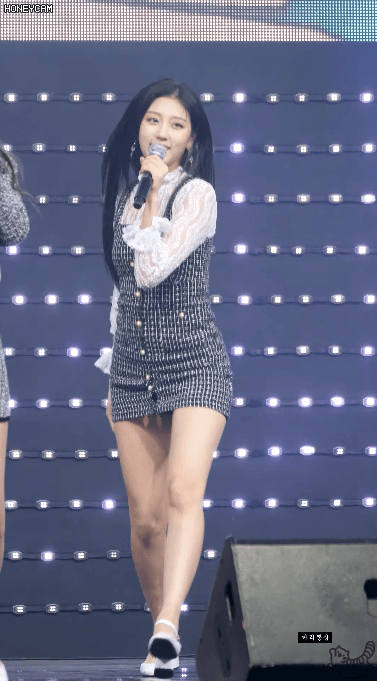러블리즈 도심에 나타난 고라니