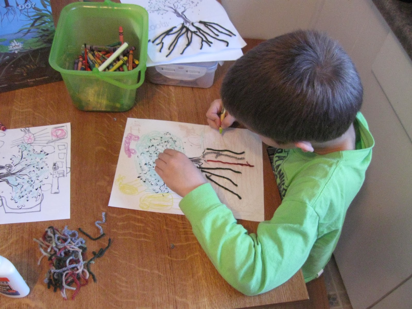 To The Rock Homeschool: Tree Study. Tree Roots~K-1 Grade Lesson