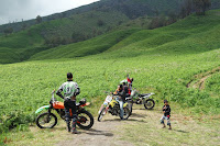 bukit teletubbies bromo spot foto cantik di gunung bromo