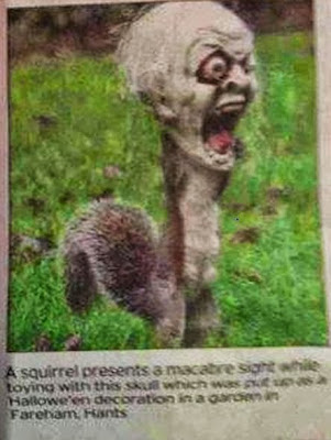 squirrel with zombie head