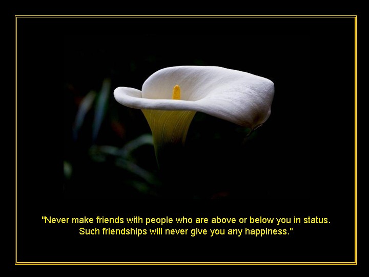 Beautiful Quotes for Life with Beautiful Flowers - The Fun Learning