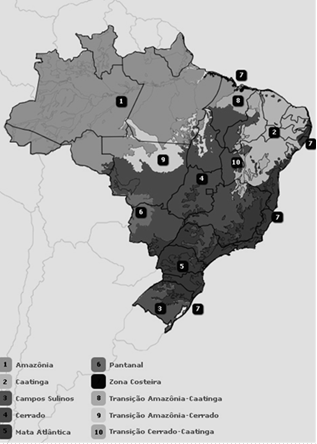 Biomas Brasileiros Biomas Brasileiros