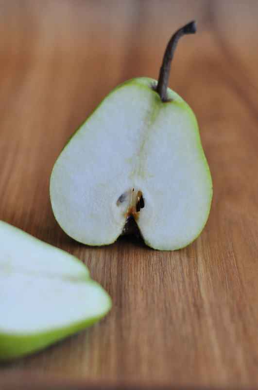 Donna Vercoe Blog Lesson 2 Stylization of a Natural Object