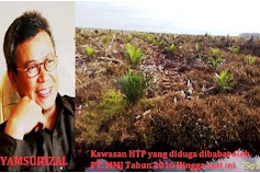  PT. MMJ Diduga Babat Kawasan HTP di Pulau Rupat Ratusan Hektare, Akibat Ulah Surat Prinsip Dari Mantan Bupati Bengkalis Syamsurizal