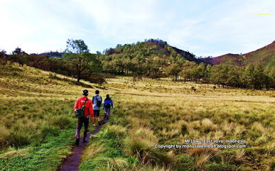 pendakian gunung lawu via candi cetho savana