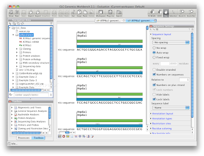 assembly via clc genomics workbench