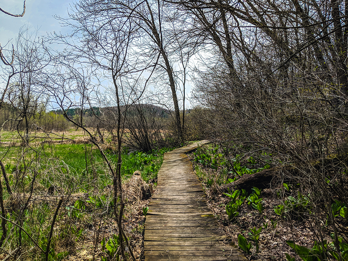 Hiking Honey Creek State Natural Area