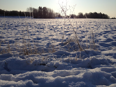 kall+promenad2 - Vackert vinterland och Rysskyla