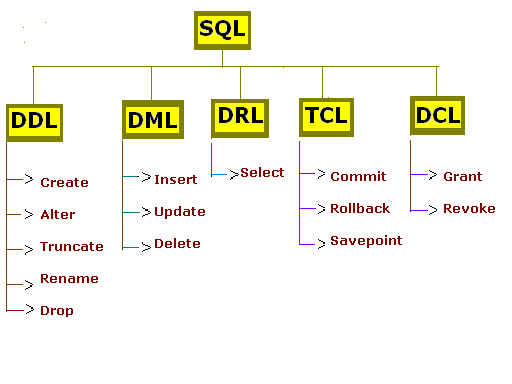 Database