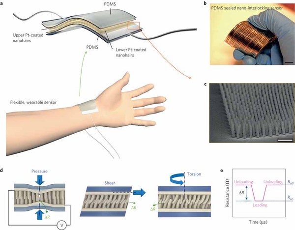 SOL-GEL, NANOSCIENCE AND PHOTONICS: A FLEXIBLE AND HIGHLY SENSITIVE ...