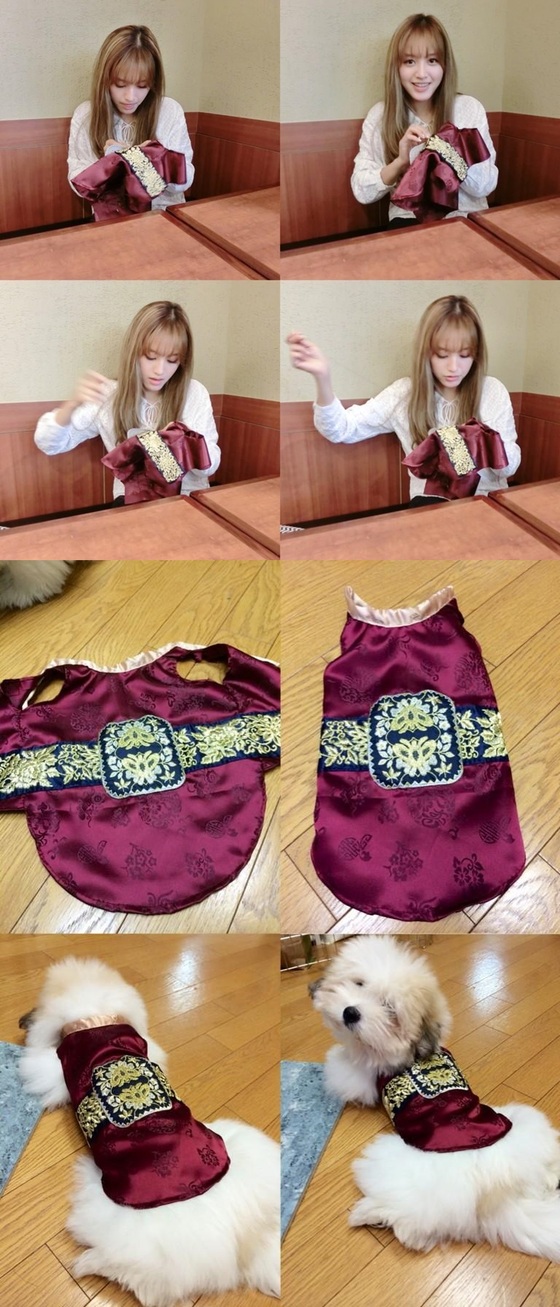 손재주가 좋은 금손 아이돌 모음.jpg | 인스티즈