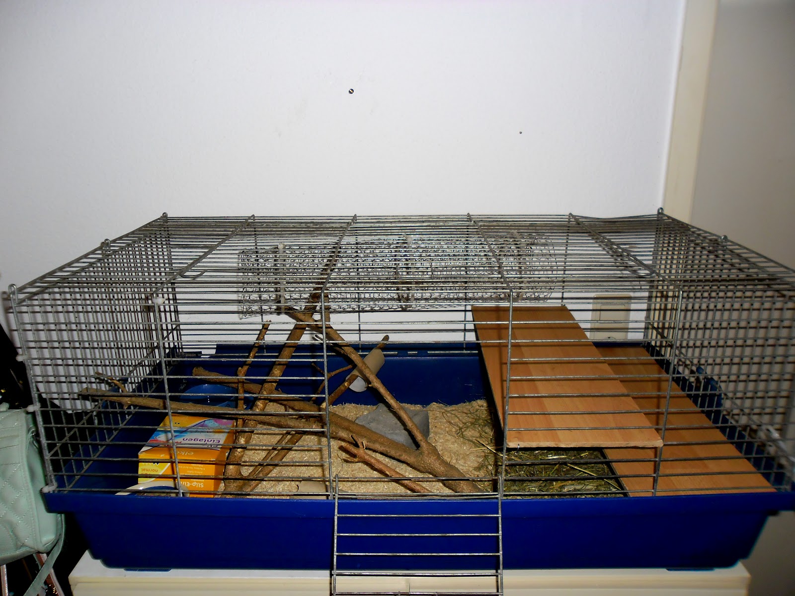 myheartbeatsforbeauty: Kleines Rattenparadies :)