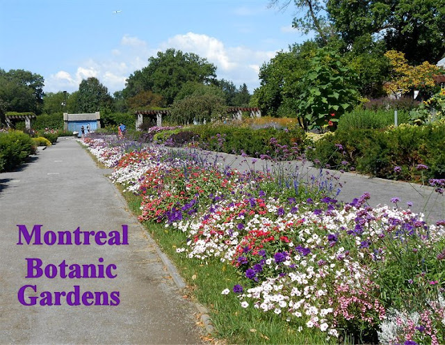 My Virtual Garden Montreal Botanic Gardens 2018 - Montreal Botanical Garden Lantern Festival 2018