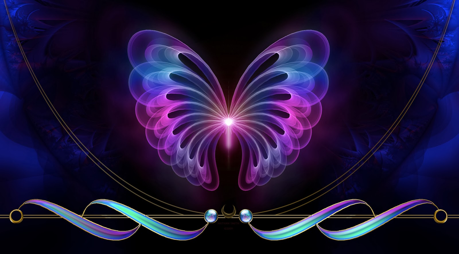 HD Butterfly Wallpapers Free Download HD Butterflies