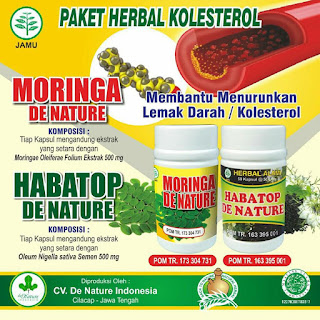 obat kolesterol,darah tinggi De Nature di Blangpidie