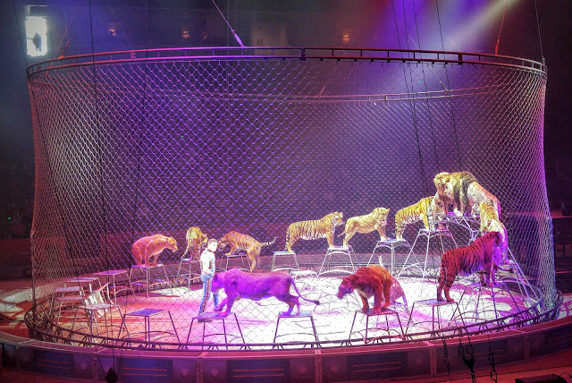 Ringling Bros and Barnum & Bailey Out Of This World circus