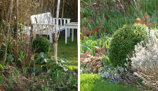 Haven i april - haverum med stedsegrønne planter - haverum 