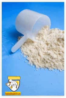 The Best Protein Powders