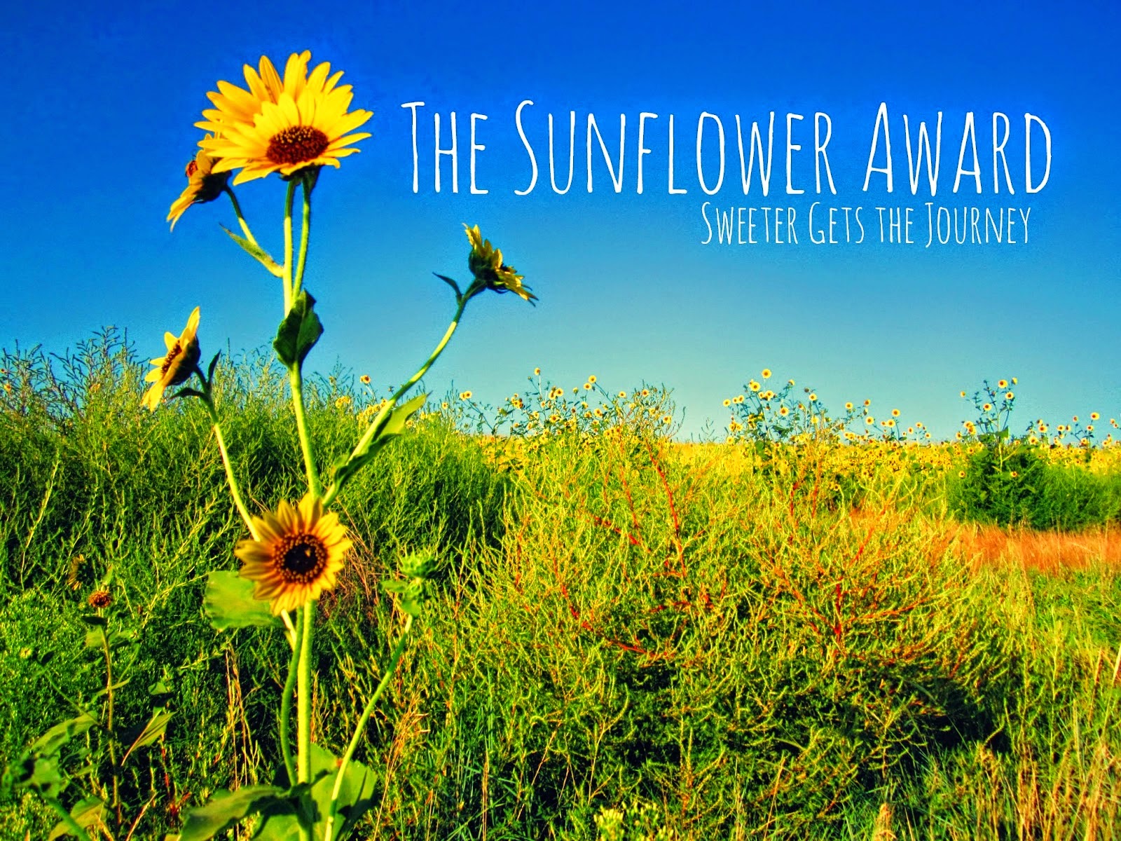 Sunflower Award!