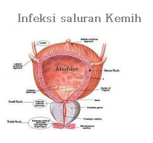 IsK ISK