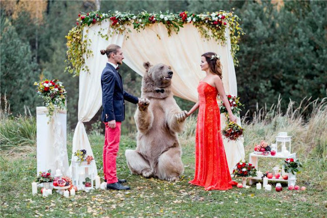 Ngeri Tapi Unik! Pasangan Pengantin ini Undang Seekor Beruang Jadi `Saksi` Pernikahan Ngeri Tapi Unik! Pasangan Pengantin ini Undang Seekor Beruang Jadi `Saksi` Pernikahan