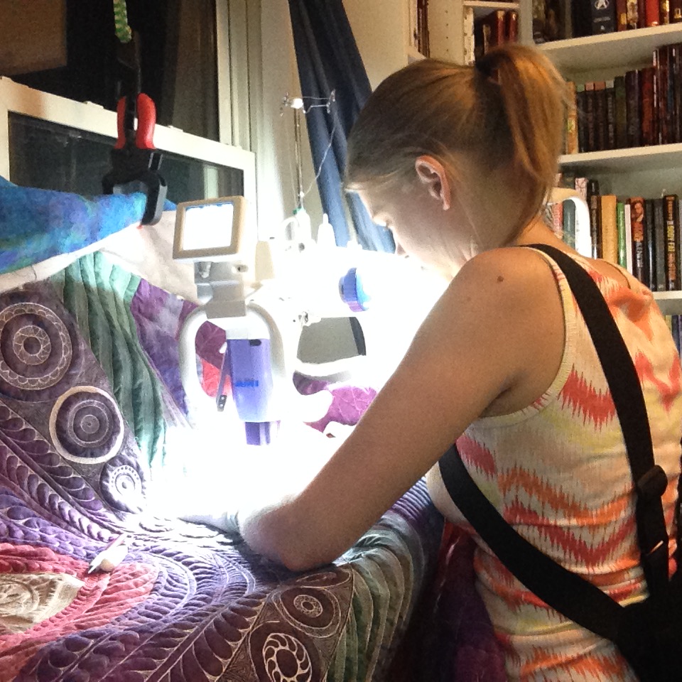 The Free Motion Quilting Project Sit Down Longarm Sewing Machine Set Up