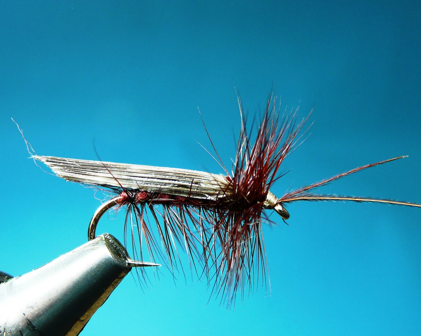 A FLY TYING JOURNAL Sedges and new wings