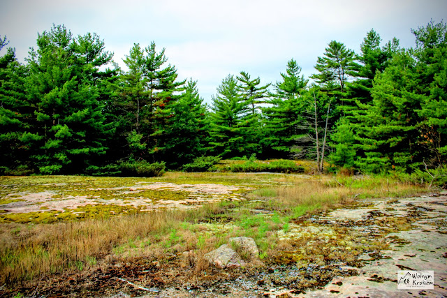 Muskoka Ontario Port Severn