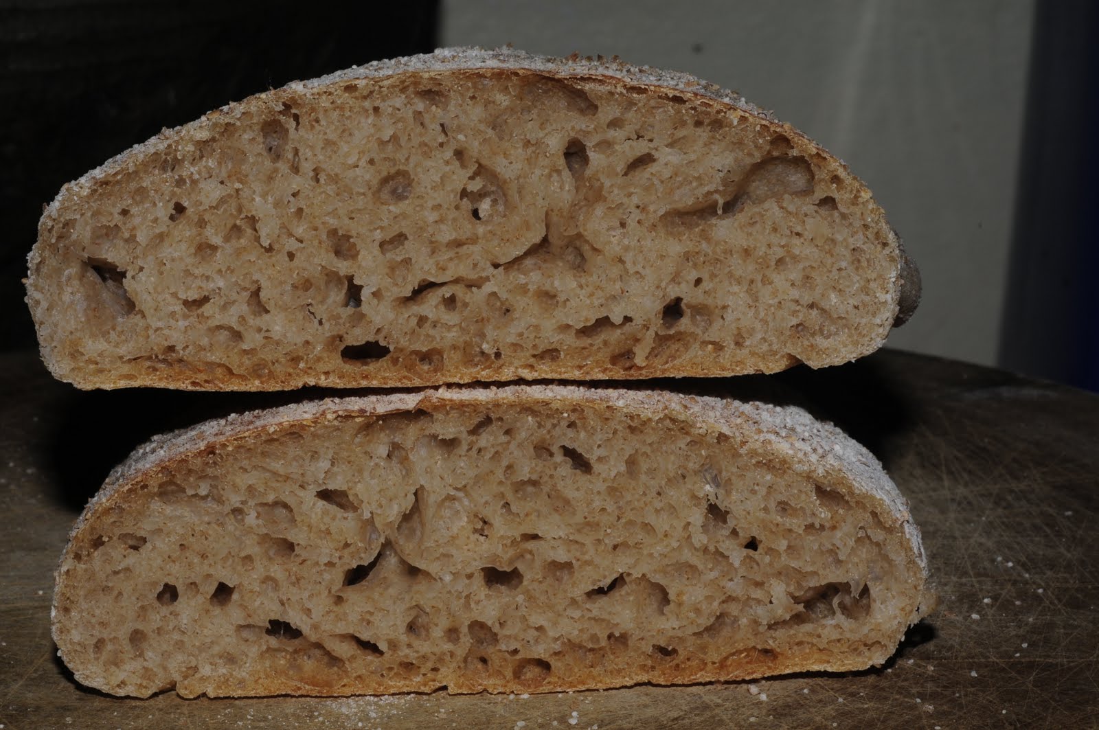 my discovery of Bread Sourdough Whole Wheat Ciabatta