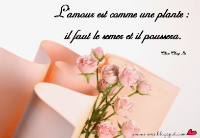 La plus belle citation d'amour