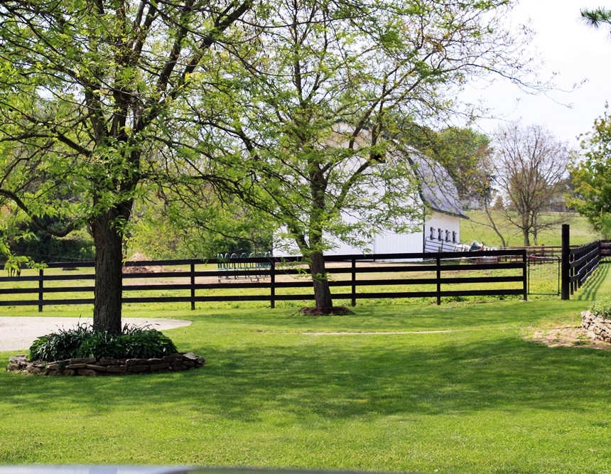 Ellington Stables HORSE BOARDING