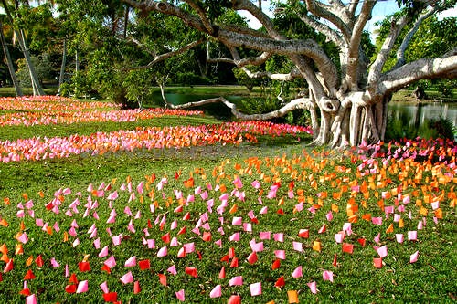10 Inspirational Botanic Gardens | Fairchild Tropical Botanic Gardens, Miami, Florida, USA